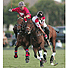 Polo players on the field | Photo credit - User: Siddha / Public Domain